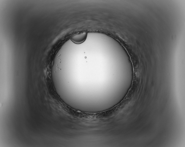 X0000086721495200704271600