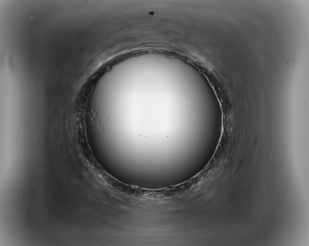 X0000086721496200704271600