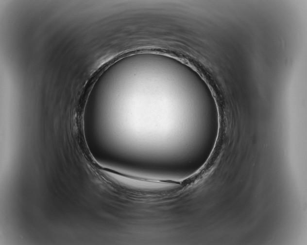 X0000086721497200704271600