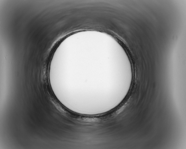 X0000086721498200704271600