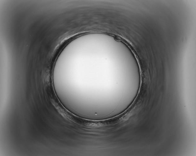 X0000086721499200704271600
