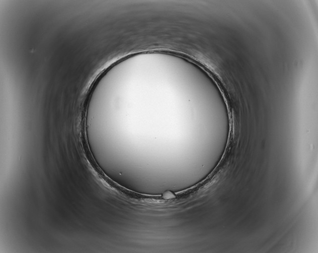 X0000086721500200704271600