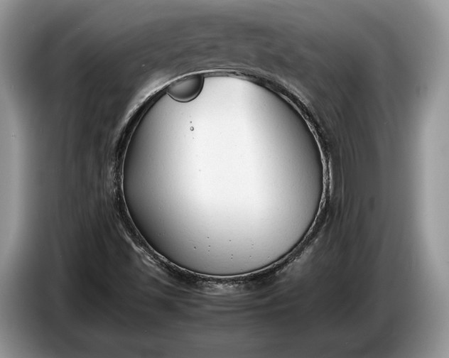X0000086721501200704271600
