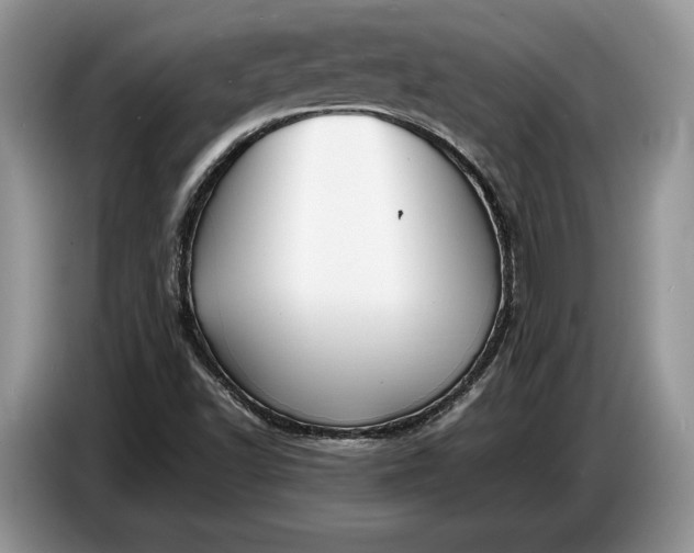 X0000086721502200704271600