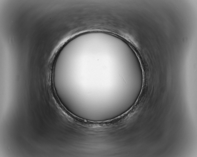 X0000086721504200704271600