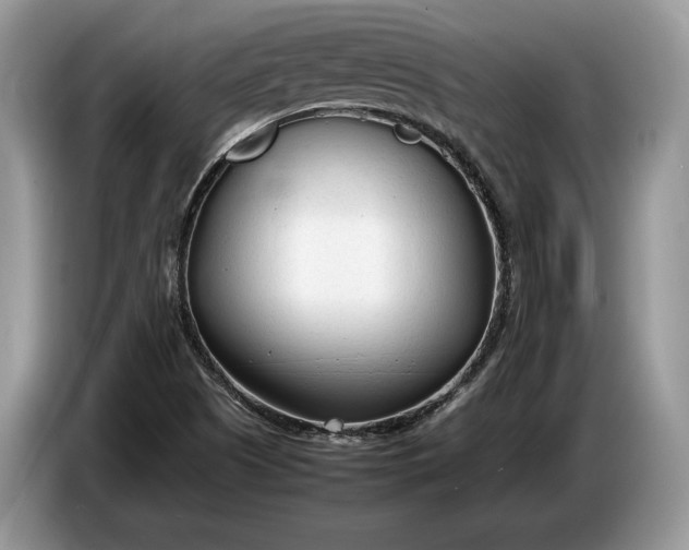 X0000086721505200704271600