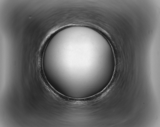 X0000086721506200704271600