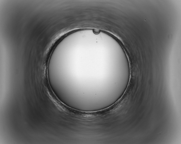 X0000086721507200704271600
