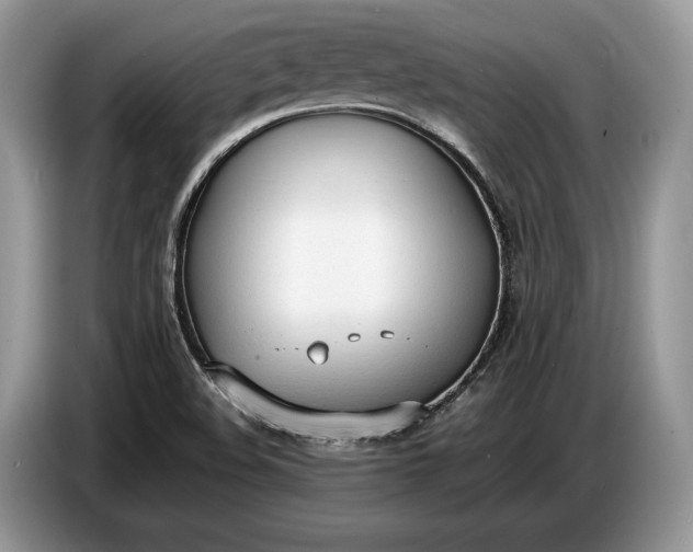 X0000086721508200704271600