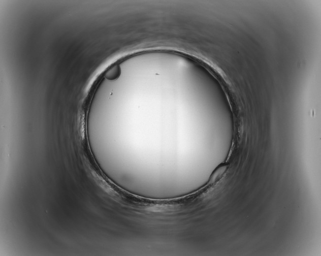 X0000086721510200704271600