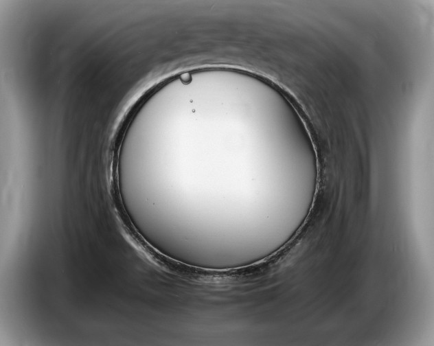 X0000086721511200704271600