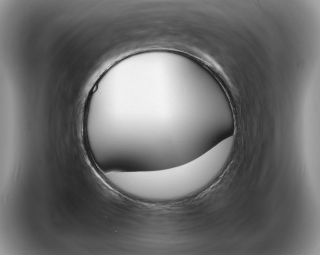 X0000086721512200704271600