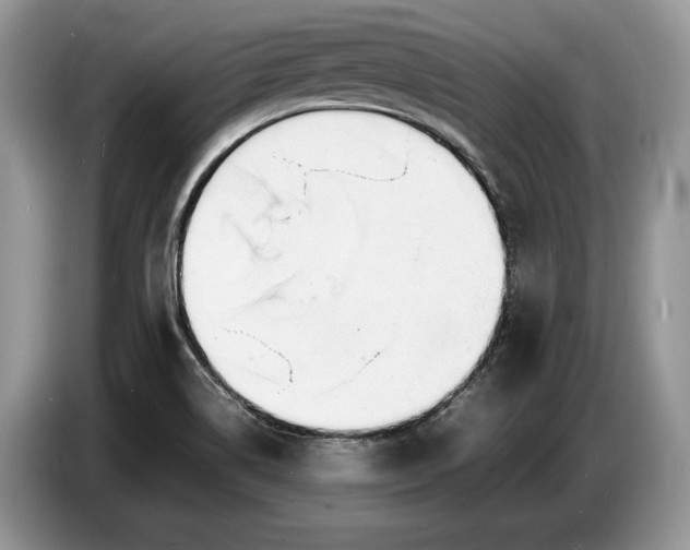 X0000086721514200704271600