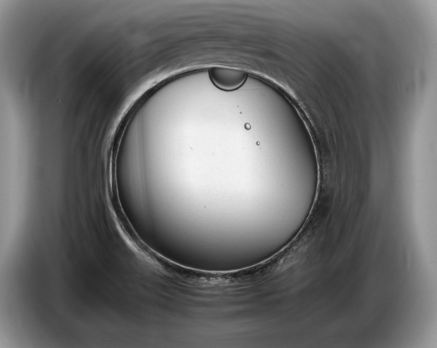 X0000086721515200704271600