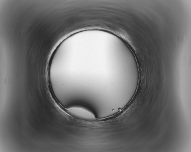 X0000086721516200704271600
