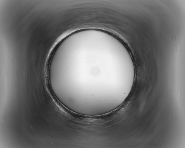 X0000086721517200704271600