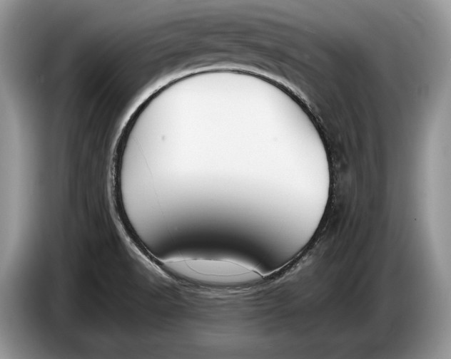 X0000086721518200704271600