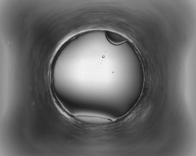 X0000086721519200704271600