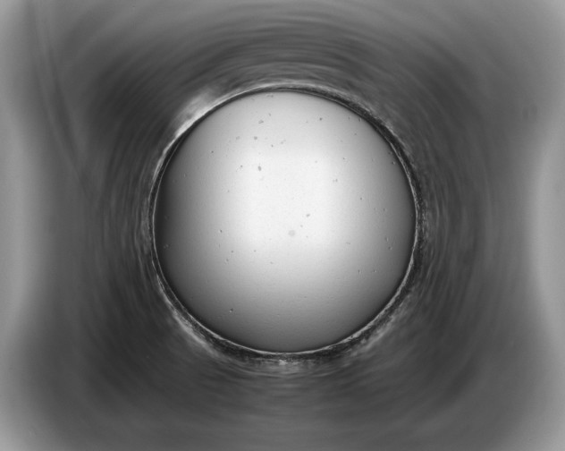 X0000086721521200704271600
