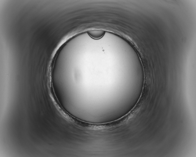 X0000086721522200704271600