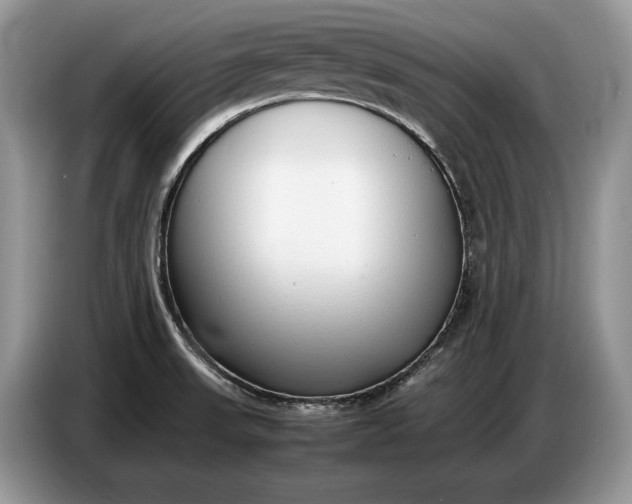 X0000086721523200704271600