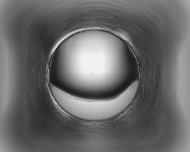 X0000086721524200704271600