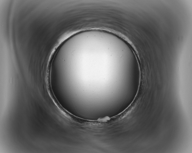 X0000086721525200704271600