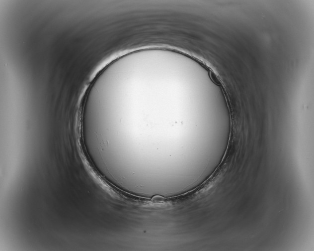 X0000086721526200704271600