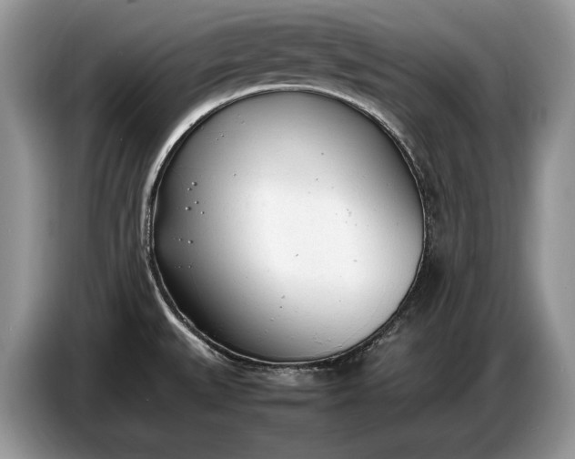 X0000086721527200704271600