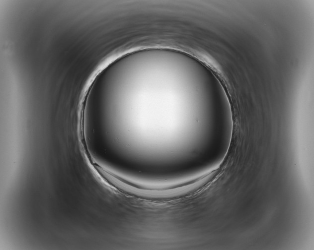 X0000086721528200704271600