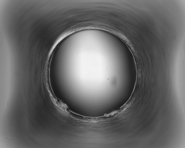 X0000086721530200704271600