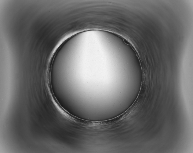 X0000086721531200704271600