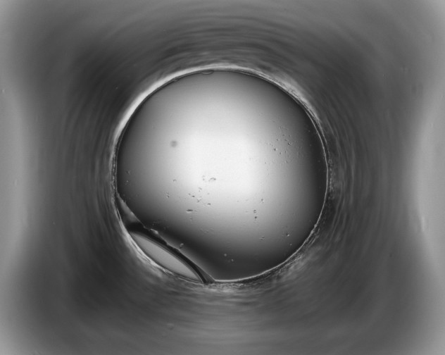 X0000086721532200704271600