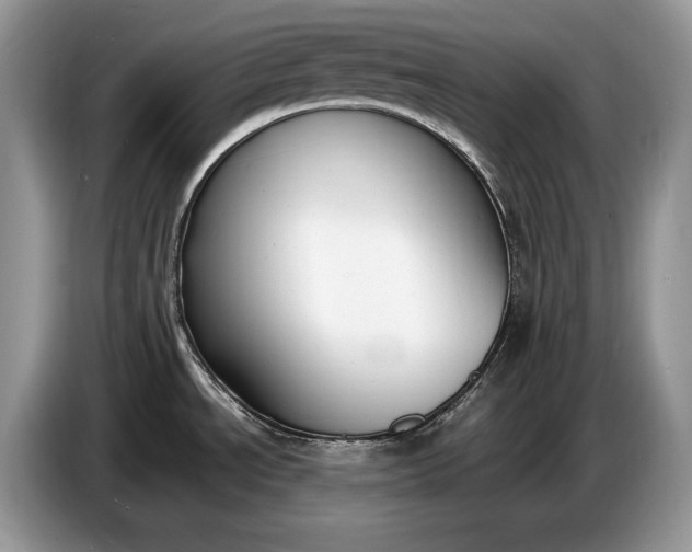 X0000086721534200704271600