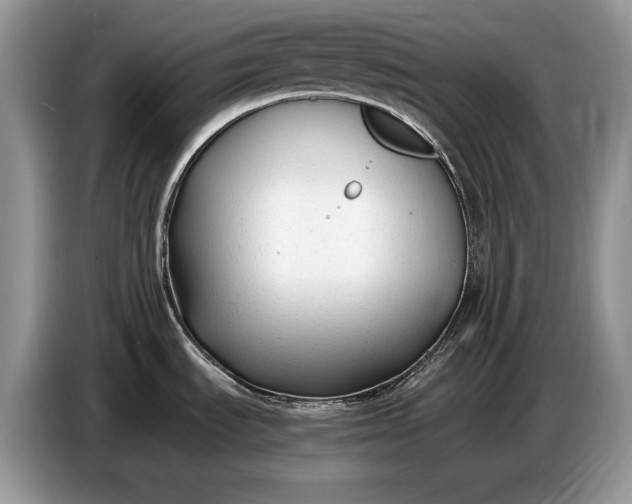 X0000086721535200704271600