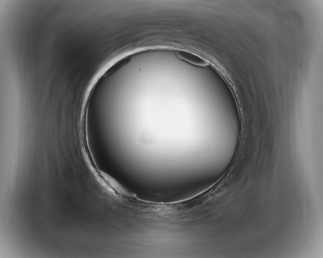 X0000086721536200704271600