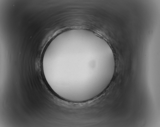 X0000086720002200705041337