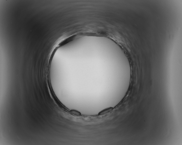X0000086720003200705041337
