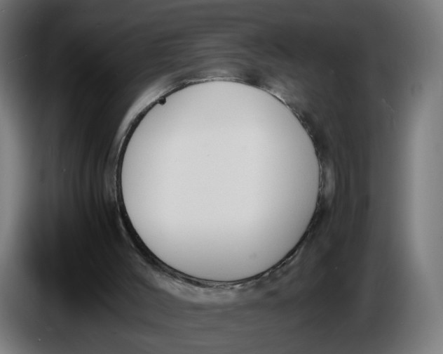X0000086720004200705041337
