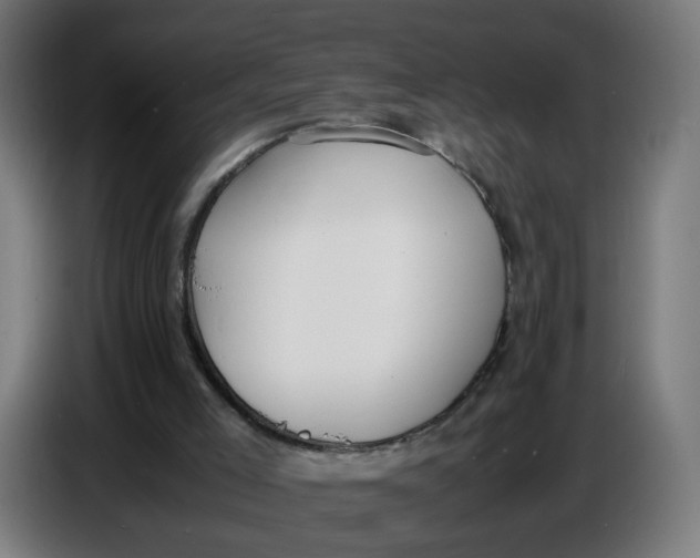 X0000086720005200705041337