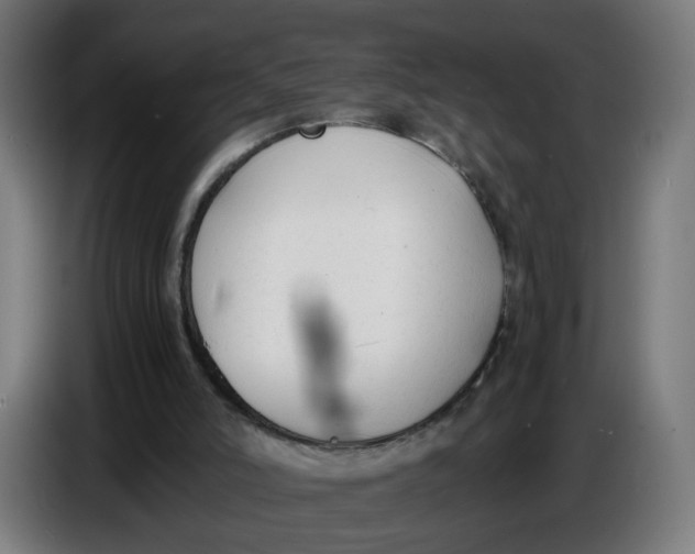 X0000086720006200705041337