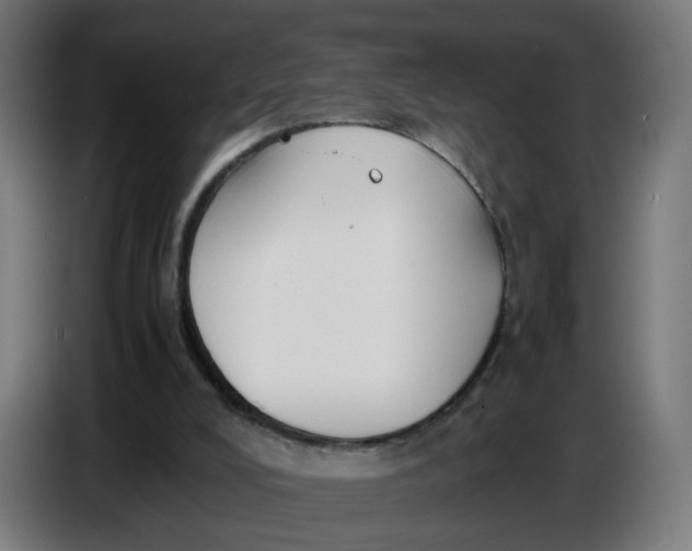 X0000086720008200705041337