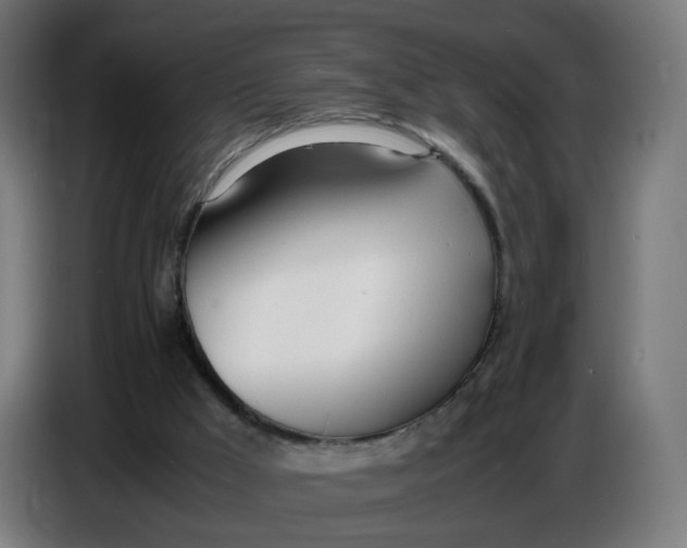 X0000086720009200705041337