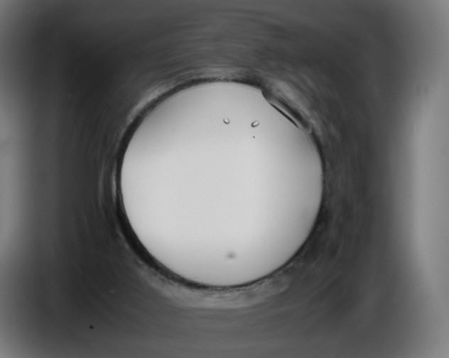 X0000086720011200705041337