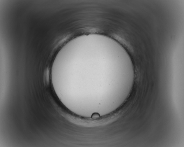 X0000086720014200705041337
