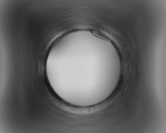 X0000086720015200705041337