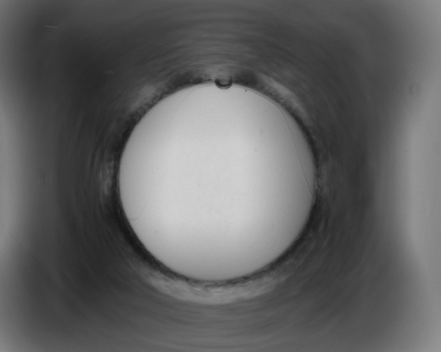 X0000086720018200705041337