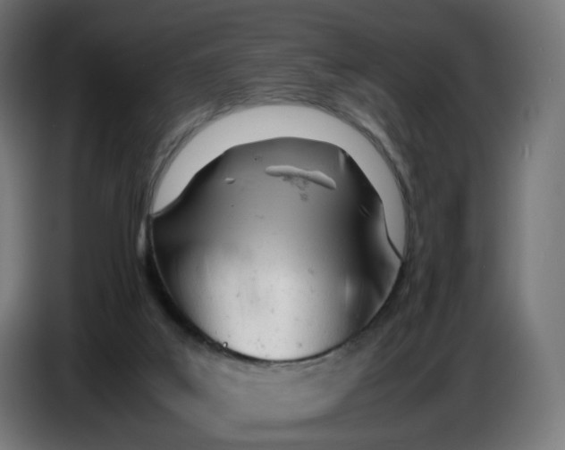 X0000086720019200705041336