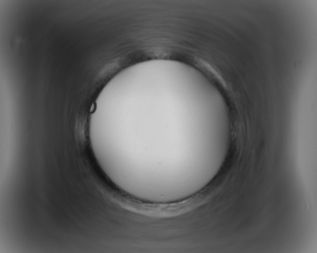 X0000086720023200705041336