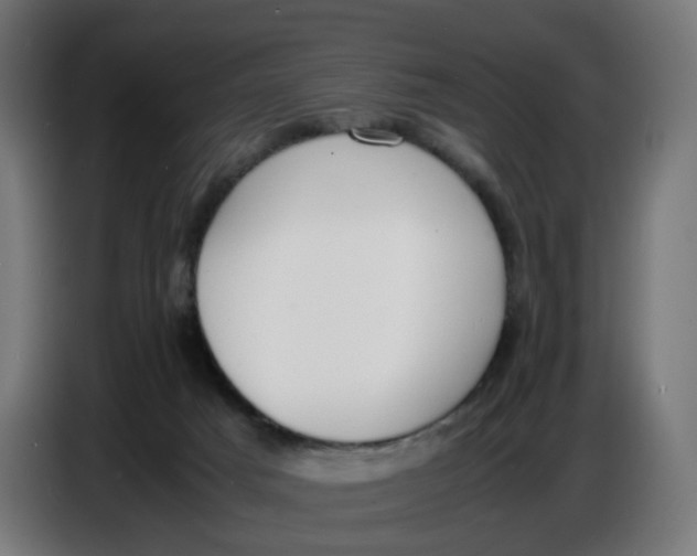 X0000086720025200705041336
